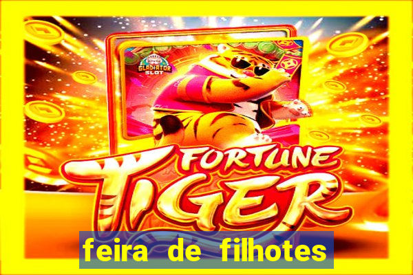 feira de filhotes porto alegre